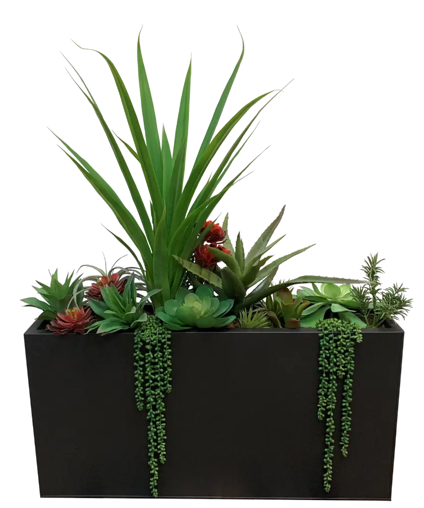Succulent Garden Box Planter with Yucca & Aloe