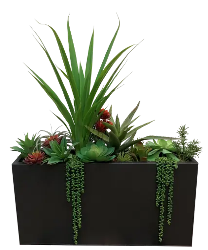 Succulent Garden Box Planter with Yucca & Aloe